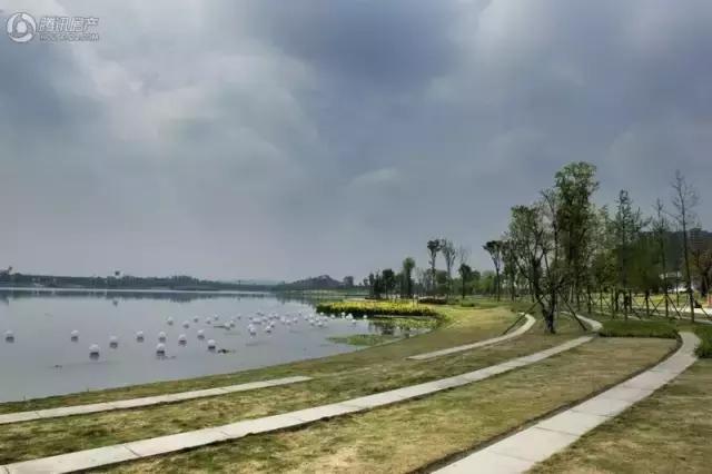 低密墅境洋房的优雅范生活全解读,洋房居住圈层