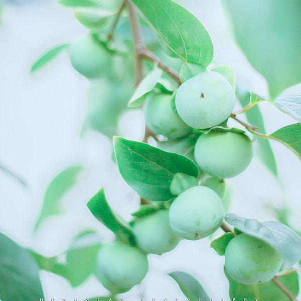 有意境的对联集锦,有趣的对联大全集锦