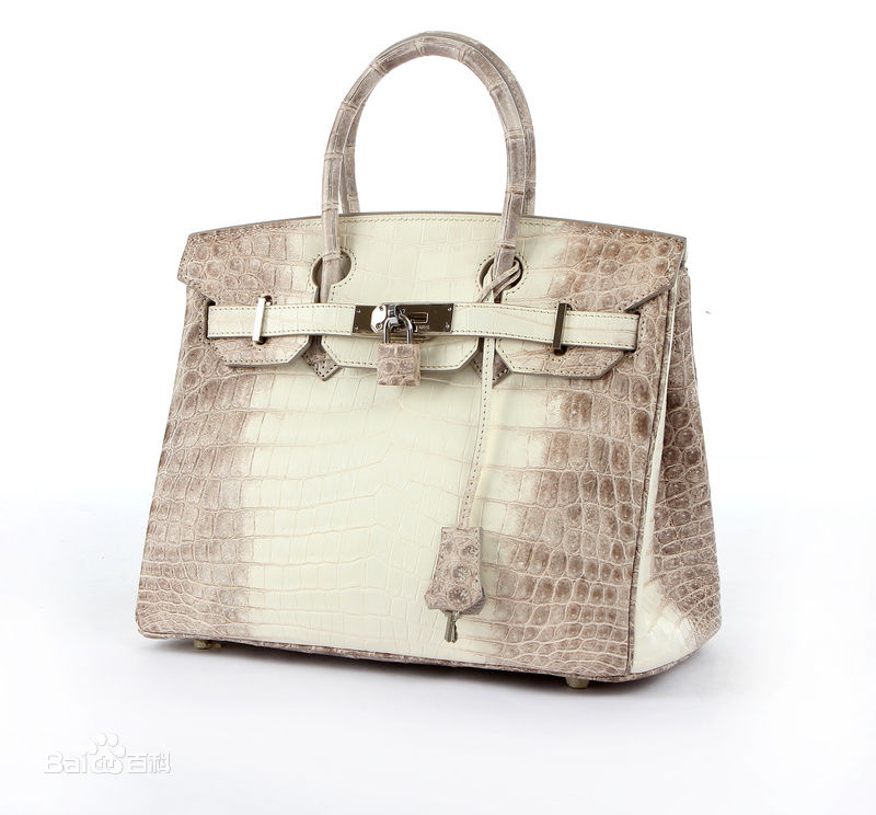 奢侈品托特包买哪款,托特包带铆钉棕色的是什么牌子