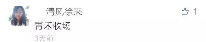 还有人记得自己qq第一个网名吗,你的第一个qq网名是什么