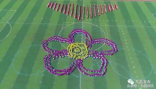 通化市东昌区全民健身运动会,通化市东昌区运动会