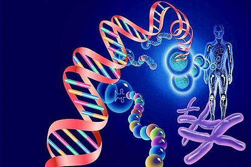 基因检测有助于精准治疗,基因治疗进行基因检测
