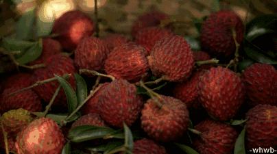 夏至要喝绿豆汤,夏至日可以喝绿豆汤吗