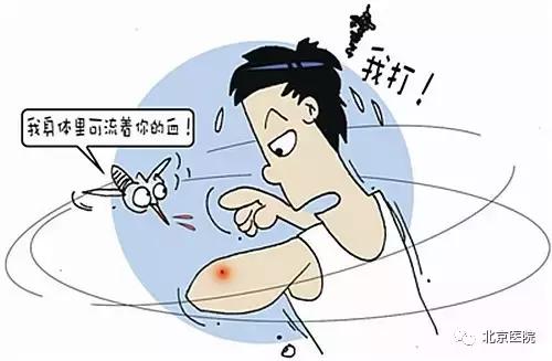 京医科普｜对付夏日“吸血鬼”，北京医院出招啦！