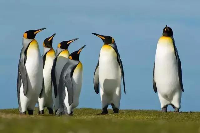 2017年欧洲和美洲最新最全落地签/免签攻略