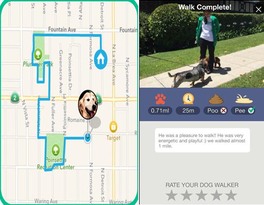 开会不能遛狗?出差在外狗狗怎么办?宠物界Uber与Airbnb帮您搞定爱宠所需!