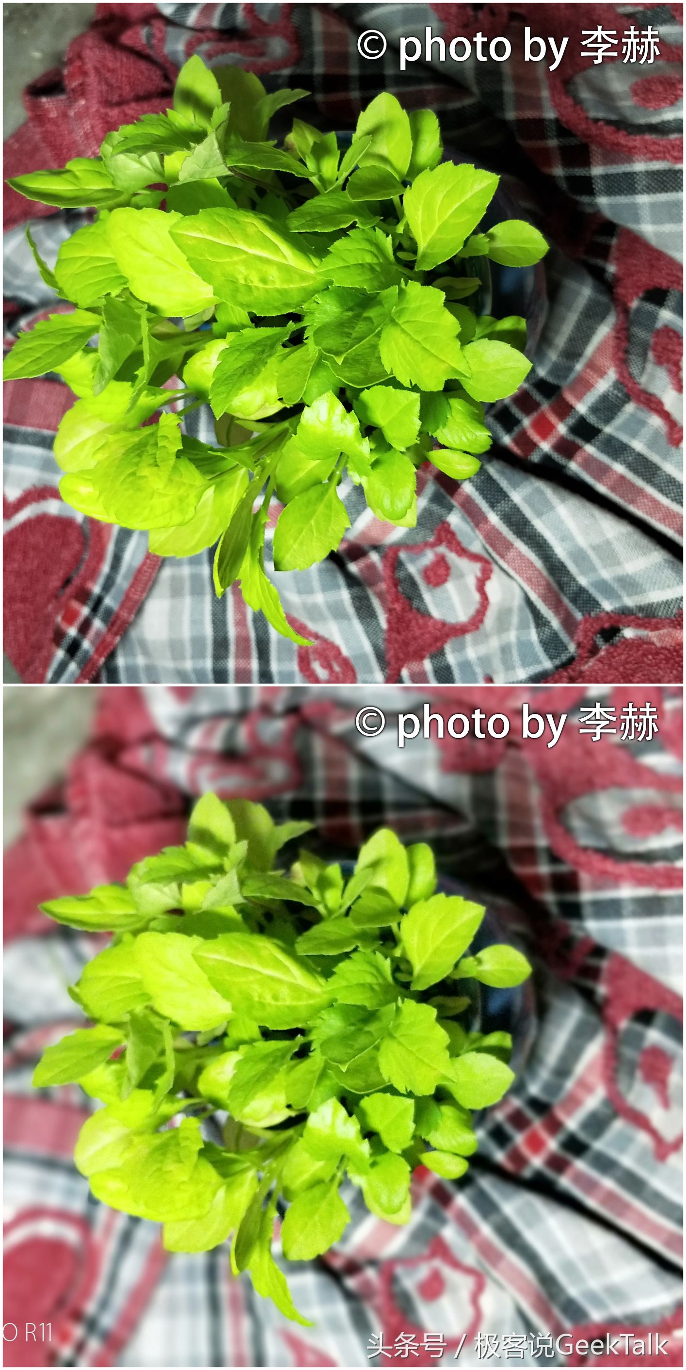 oppor11前后两千万拍照更清晰,oppor11plus测评画质