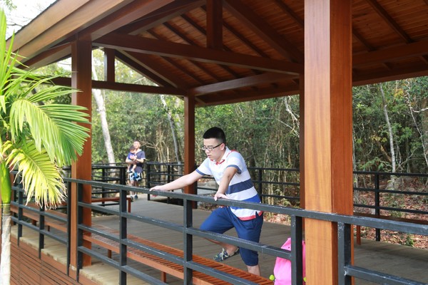 在三亚总有一片海属于一个人,在三亚椰梦长廊海边