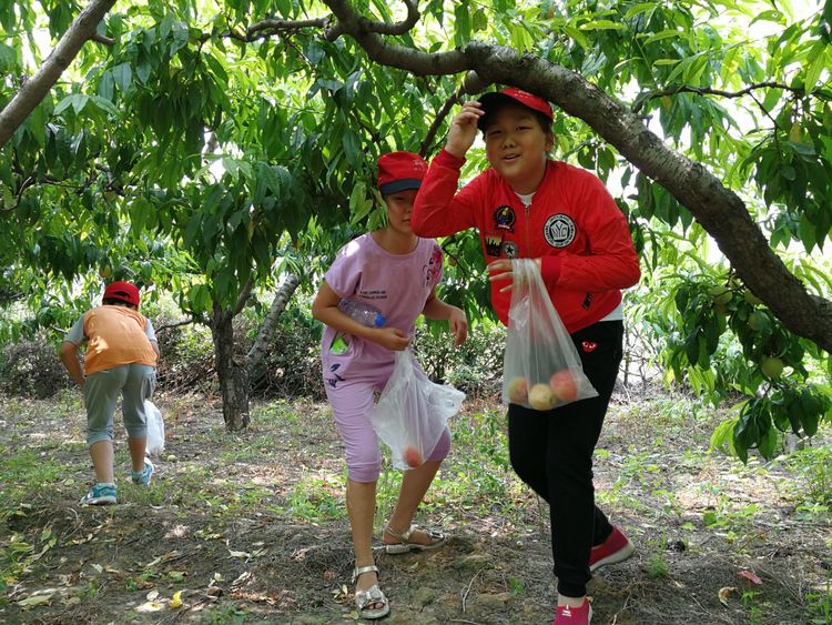 暑假桃源一日游,荥阳高村沐恩生态园