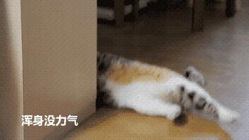 月经期要注意的那些事儿,月经期的症状和怀孕的一样吗