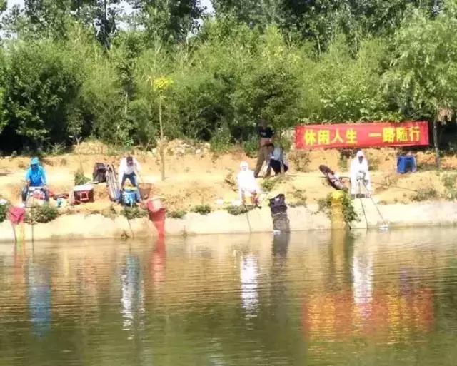 河南最近有哪些钓鱼比赛,南阳钓鱼竞技比赛
