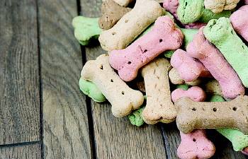 好的狗粮与普通狗粮的区别,膨化狗粮和天然狗粮有什么区别