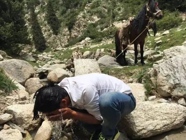 九零后牧羊人,新疆年轻牧羊人