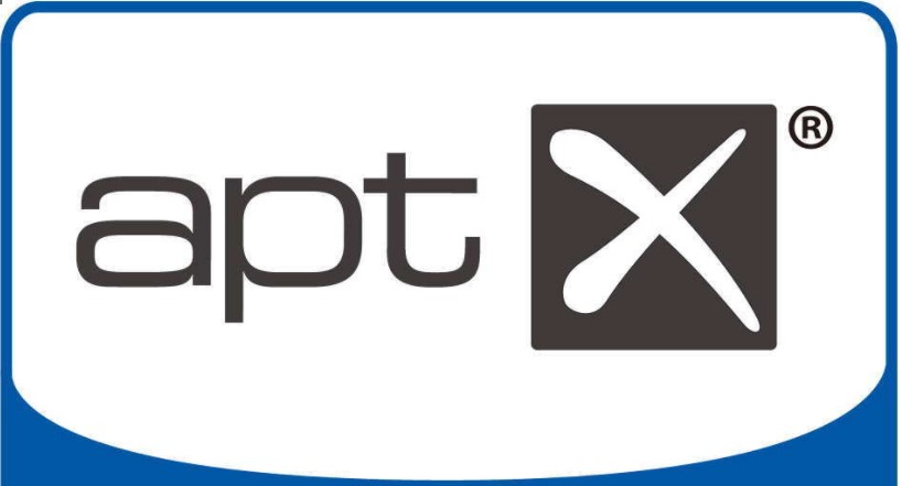 SANGEAN山进U4，被这个霸气的肌肉音响脸折服了，广场舞外放神器