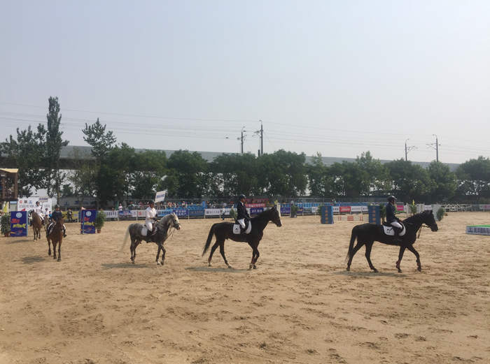 中国马术现状及发展趋势,大连马术基地