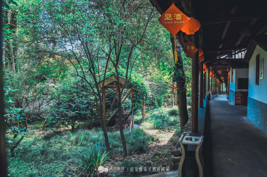 去木子山庄感受禅意，去观察奇曲茶