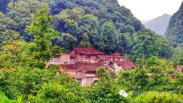 您好！我叫望谟，这是我的新名片~