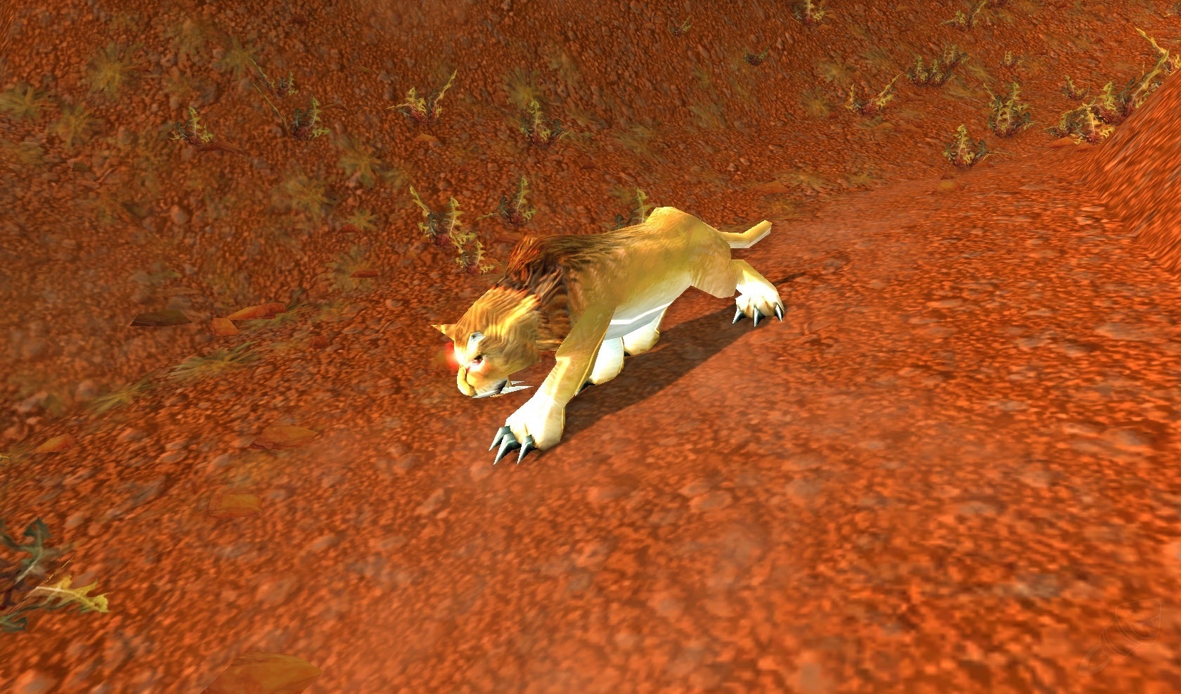 魔兽世界猎人稀有精英宝宝,猎人7.0宝宝推荐