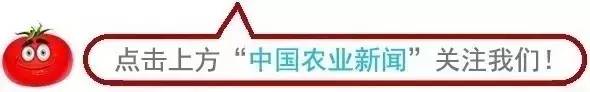 美国牛肉最近有进入中国市场吗,美国牛肉2024价格