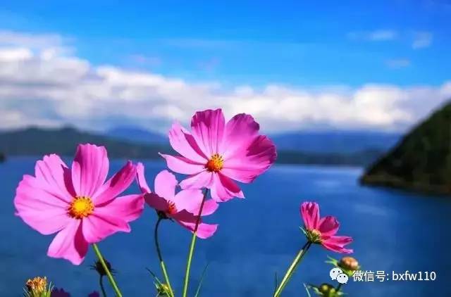 重要的事情说三遍迪厅版,重要的事说三遍新说法