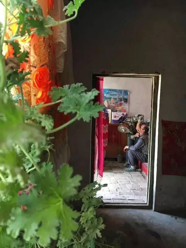 90后牧羊人视频,九零后牧羊人