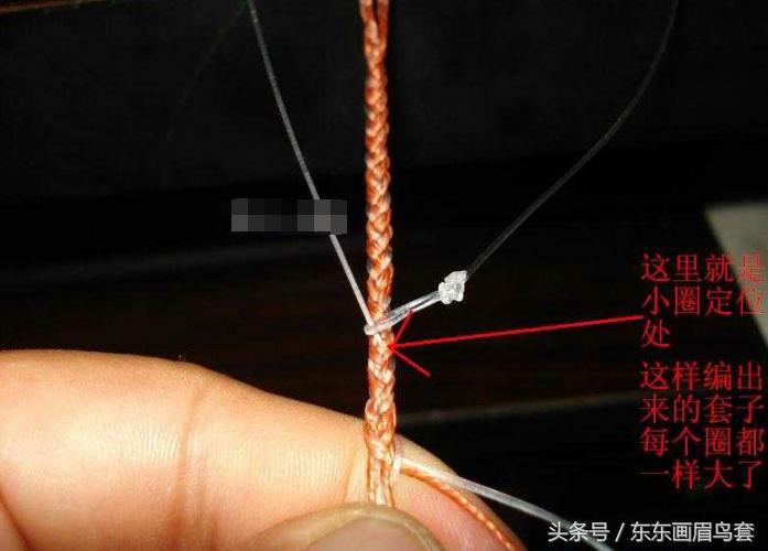 东东画眉鸟套之各种好看实用的绳套你了解吗？