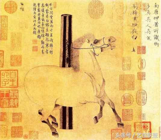 国画荷花鱼还有鸟的寓意,花鸟国画中的寓意