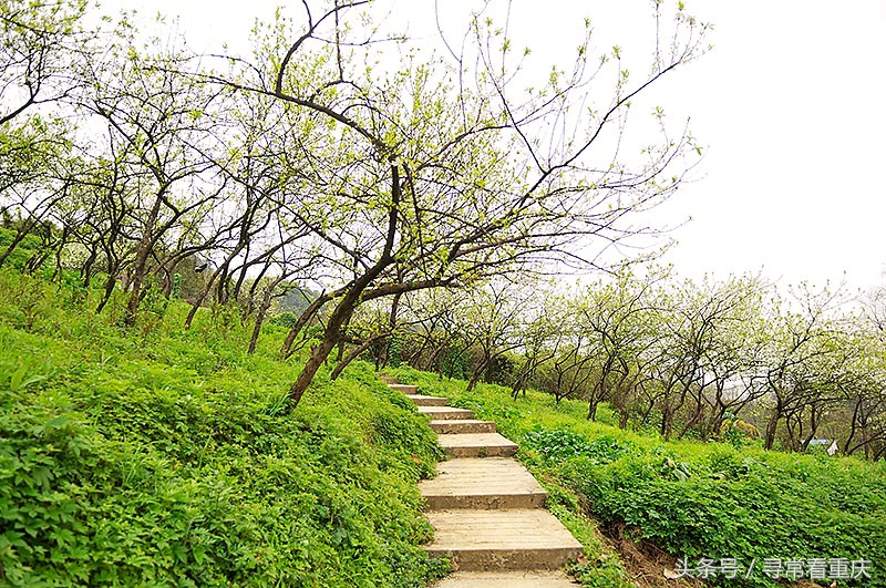 綦江渝黔盐茶古道,探秘鬼传说