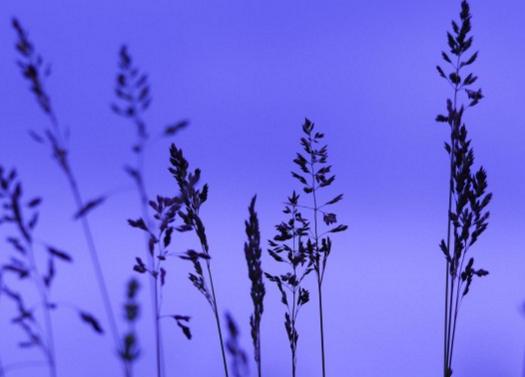 让自己快速强大的捷径,让自己强大最简单的方法