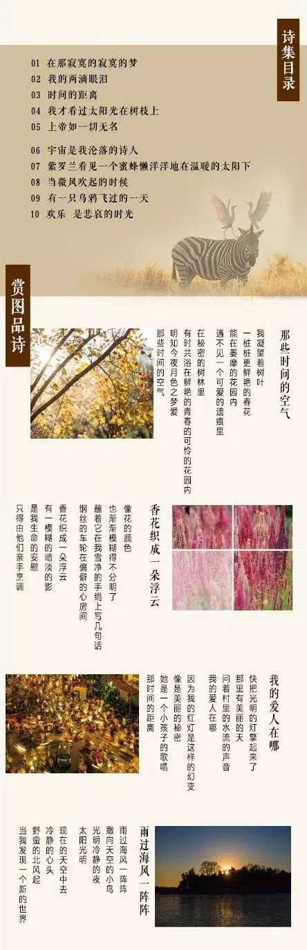 荐书｜可以睡的日本散文·不是人的诗歌作者·尽情撕的诺奖诗集