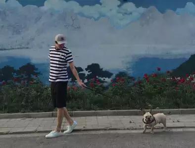 为什么现在娱乐圈都是小鲜肉,娱乐圈小鲜肉实际是什么样的