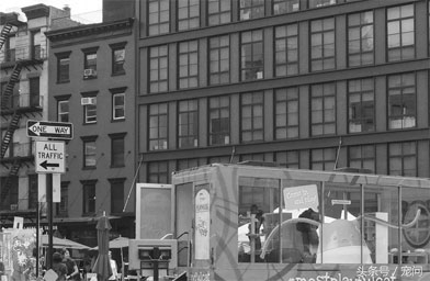 狗粮是怎么研发的,狗粮是怎么制成饲料的