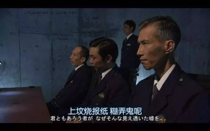 秘鲁豚鼠纪录片,豚鼠秘鲁荷兰猪