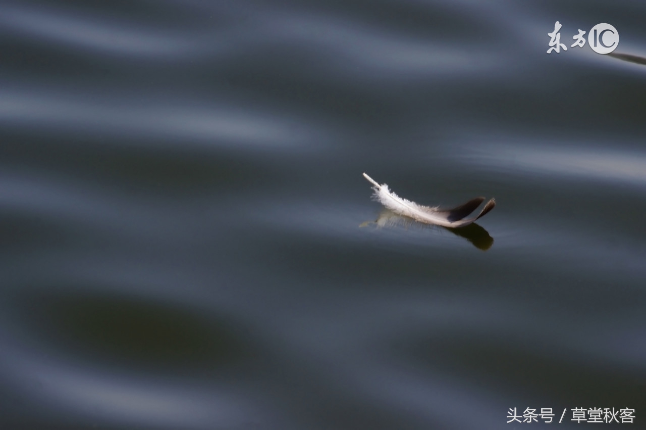 我心中的墨绿｜原创作文