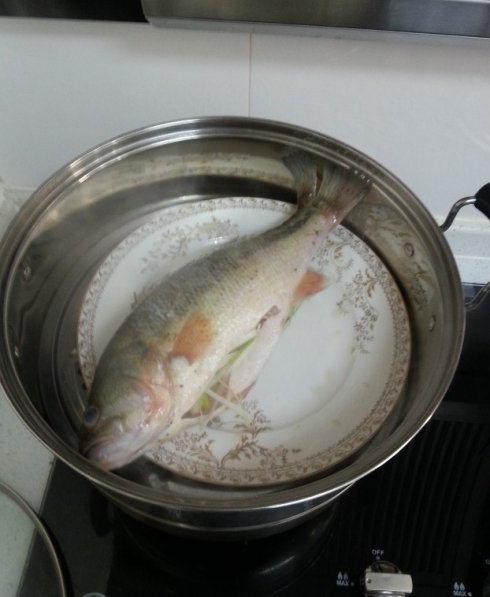 宝宝吃清蒸鲈鱼正确做法,宝宝清蒸鲈鱼2岁
