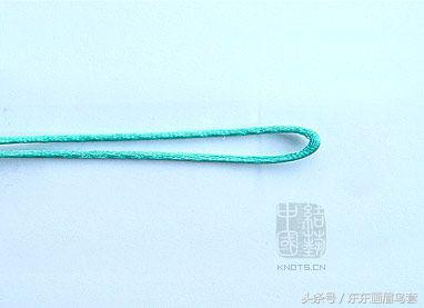 东东画眉鸟套之各种好看实用的绳套你了解吗？