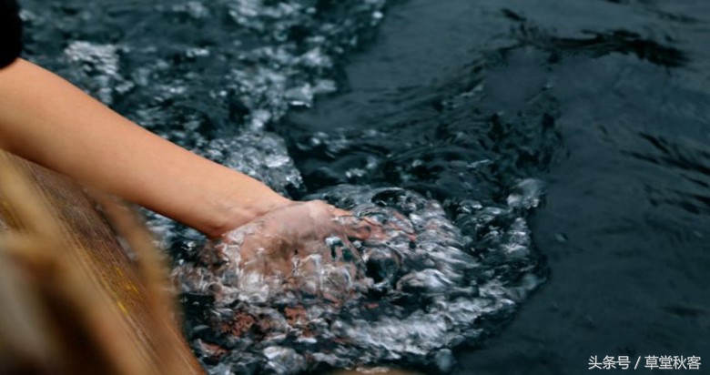 我心中的墨绿｜原创作文