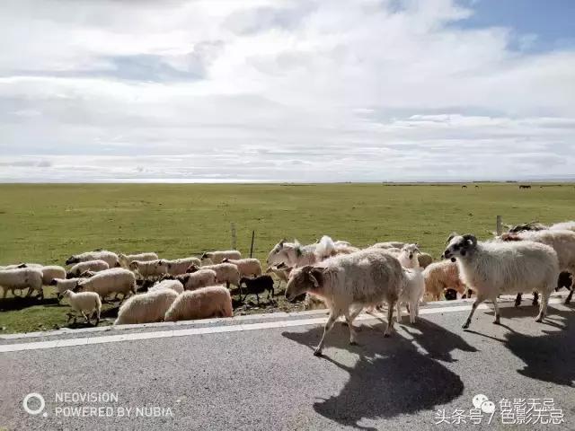 努比亚z17骁龙835跑分,努比亚z17的835是满血版吗