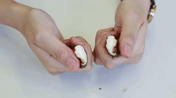 吃到怀疑人生的水果,吃到怀疑人生的菜