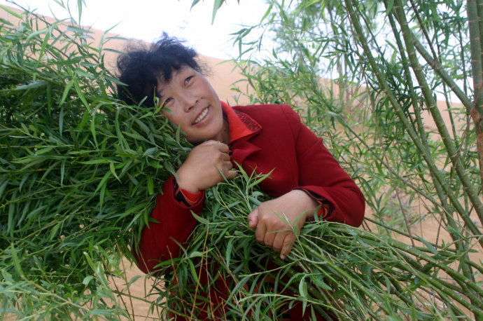 不毛之地变良田,不毛之地变成高产田