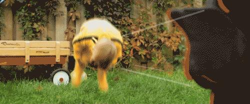 如果你有个女儿,如果你有个女儿请务必好好爱她