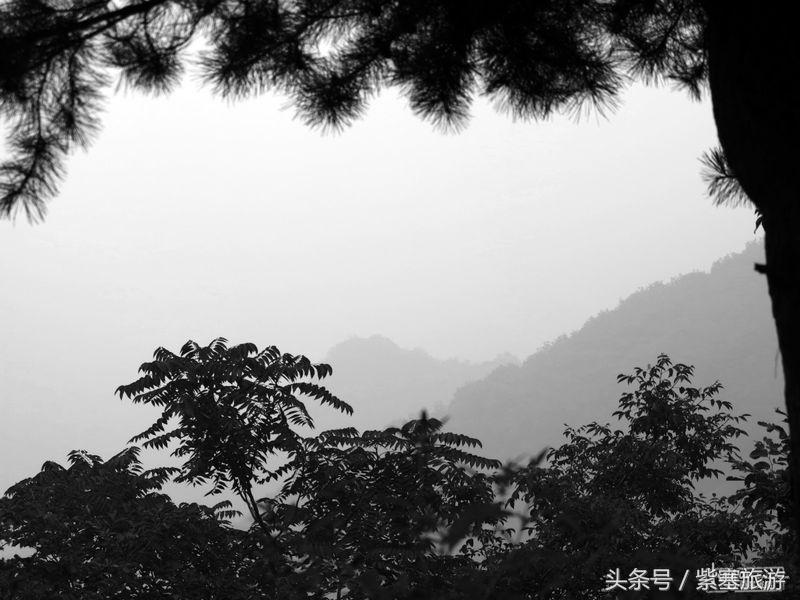 蓟县金马石农家院三日游最佳路线,天津蓟县梨木台风景最好的农家院