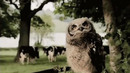 40-50岁抗衰老水乳推荐平价安全,妈妈补水水乳套装推荐50-60岁平价