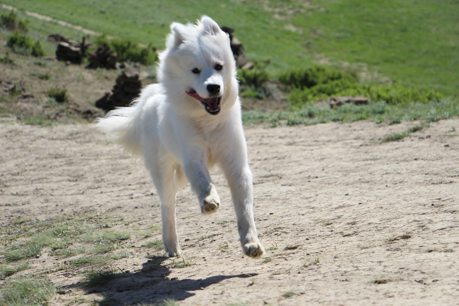 乌鲁木齐石人沟民俗,乌鲁木齐风情