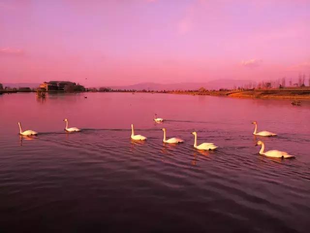 学了那么多拍照姿势还是用不上,学了多年摄影