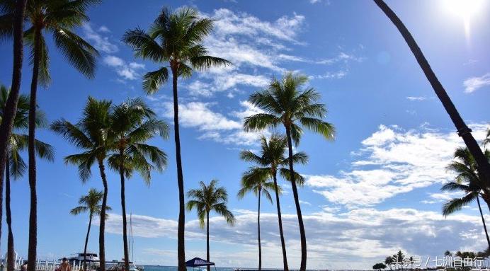 夏威夷购物胜地，必逛血拼地点及攻略