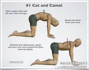 颈肩痛肌肉锻炼怎么练,胸椎灵活性差导致肩颈疼痛