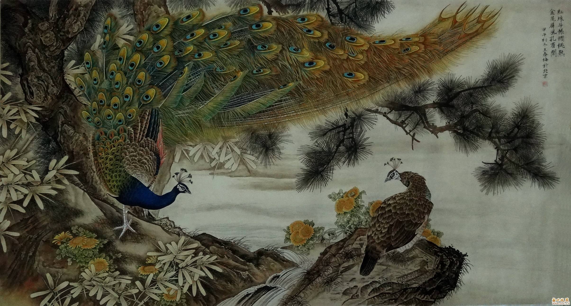 孔雀开屏的图片国画孔雀的画法,国画孔雀的画法图片