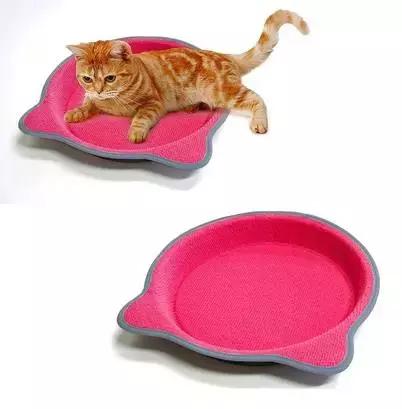 铝盆和鸡窝卖断货了，看猫咪用品创业商机