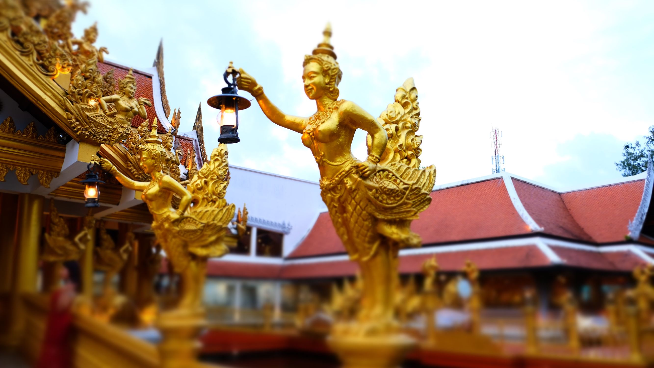 如何花5000元在普吉岛像王思聪一样的装X？